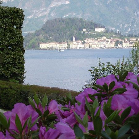 Charming Glicine And Azalea House Art And Colour With Lakeview Cadenabbia Zewnętrze zdjęcie